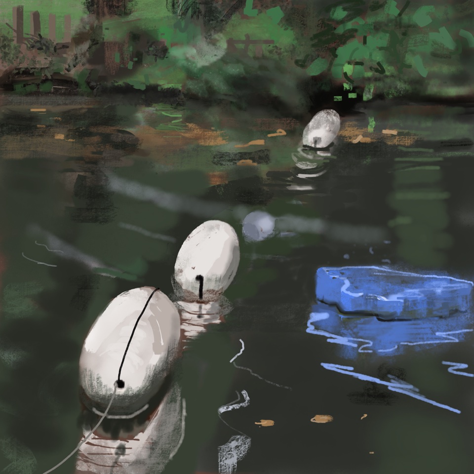 iPad drawing of green pond water with floating white buoys and reflections. Artist: Caroline Leaf.
