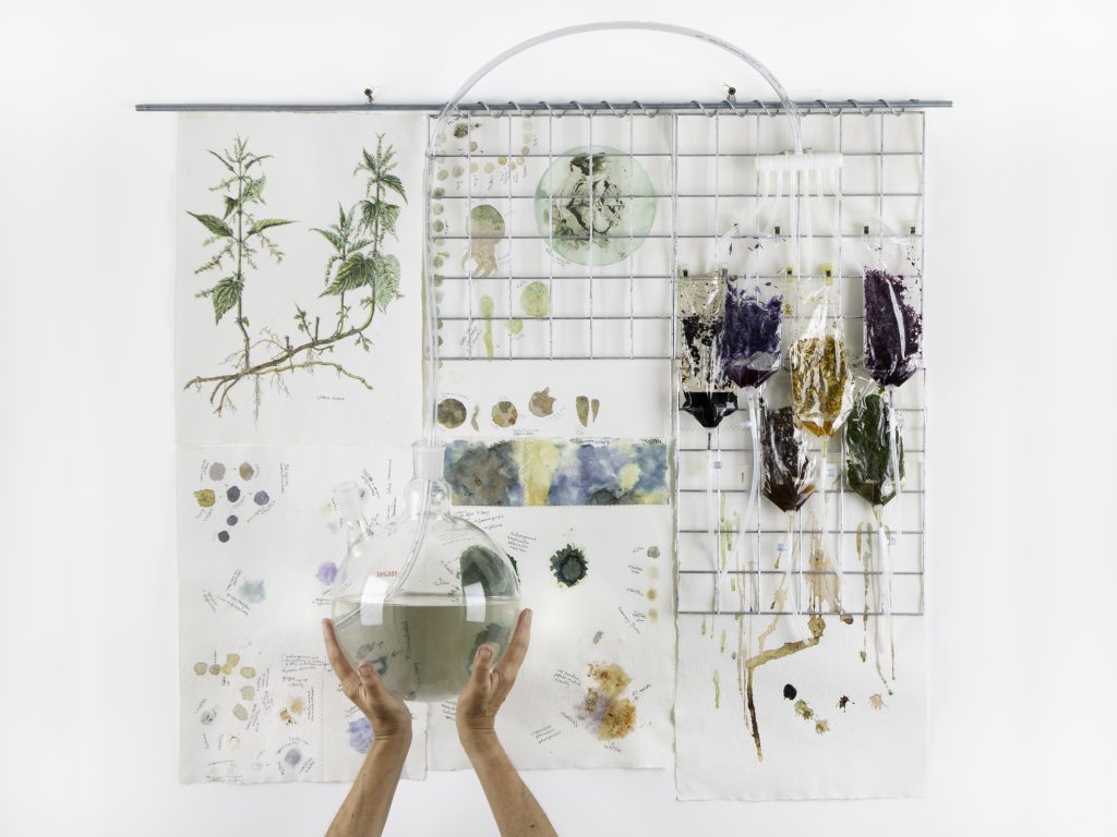 Photograph of Laura Dekker's installation in progress portraying 'transformation and sublimation' using flasks and plastic sachets containing water and materials source from the Pond.