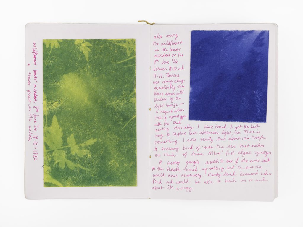 Photograph of two page spread from swimming log, hand-written in magenta ink with green and blue cyanotype illustrations. 
